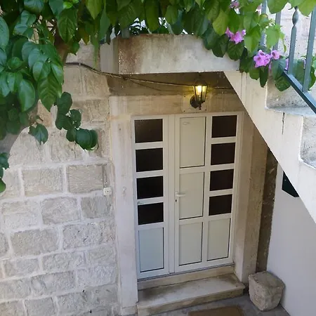 Elena * 스플리트