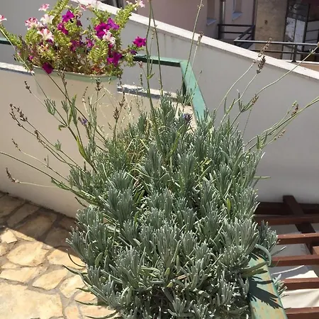 Apartamento Elena