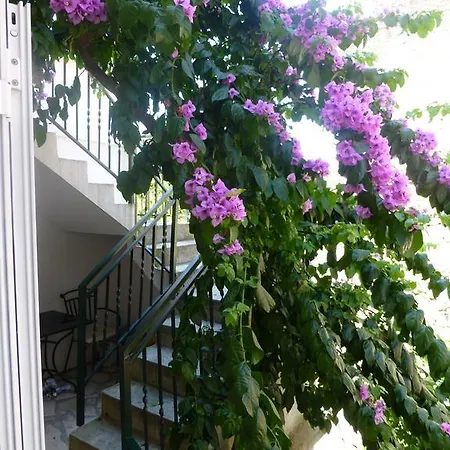 Lejlighed Elena Split