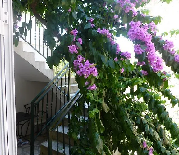 Apartman Elena Split